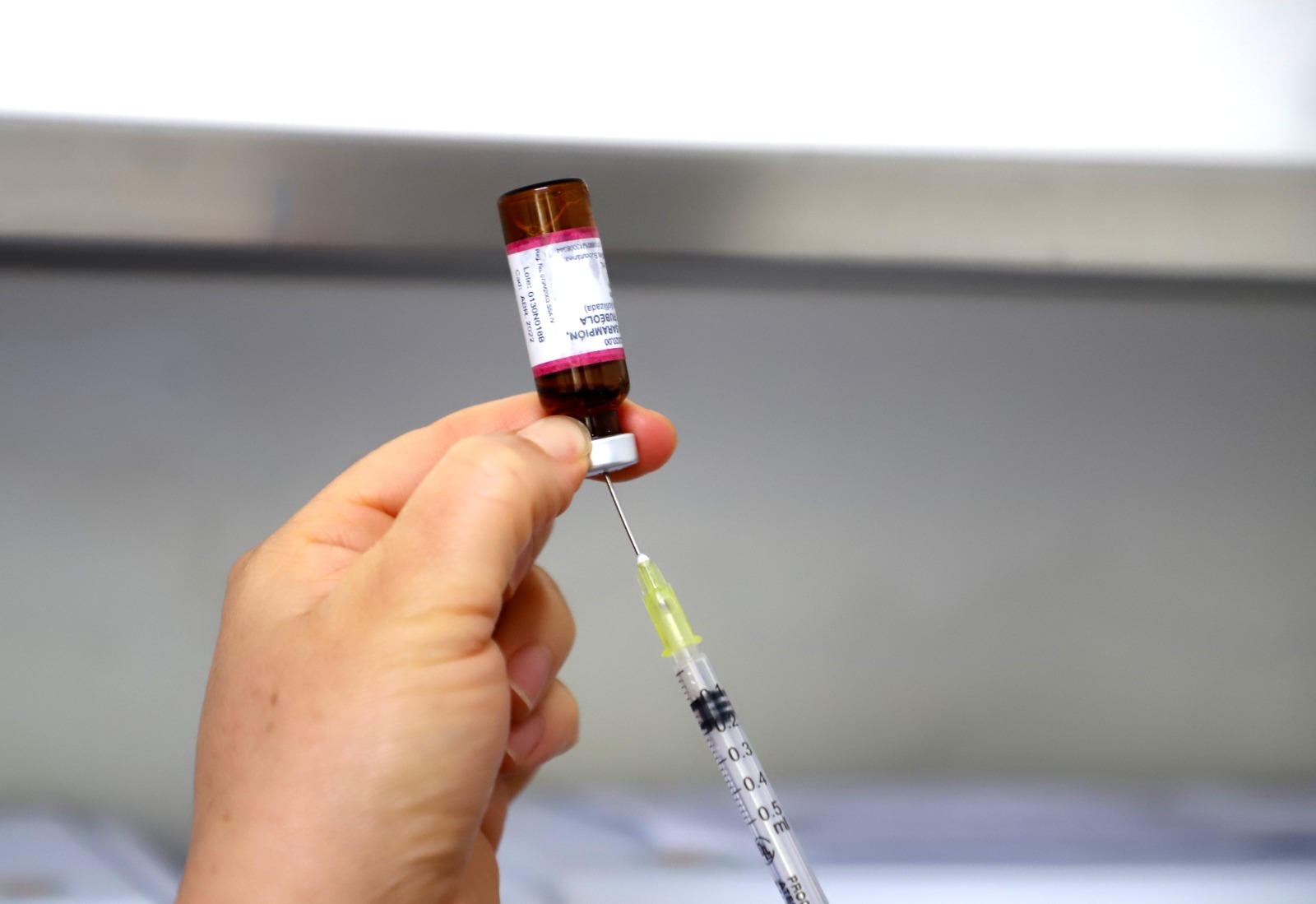 Congreso exhorta a reforzar vacunación contra el sarampión pese a no registrar casos activos en SLP