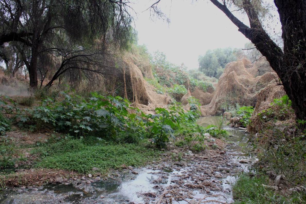 Omisión y desinterés mantienen contaminado al río Paisanos, el único vivo en la zona metropolitana