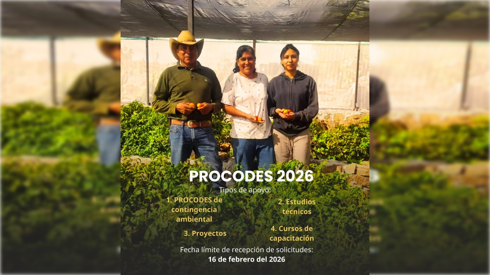 Última semana para postularse al Procodes 2026 destinado a Áreas Naturales Protegidas