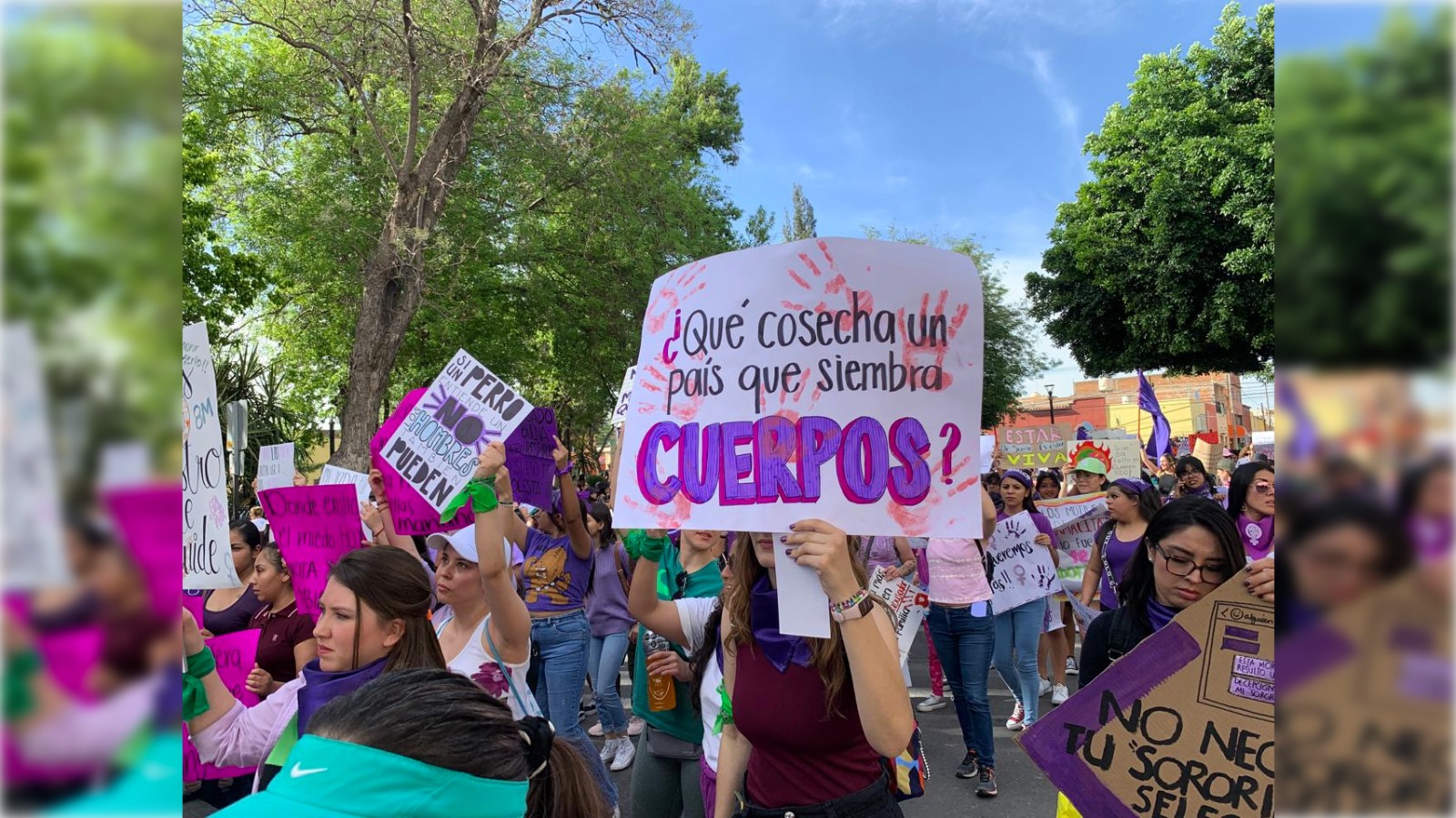 Colectiva Las 6N emiten posicionamiento sobre retiro parcial de la AVG en SLP