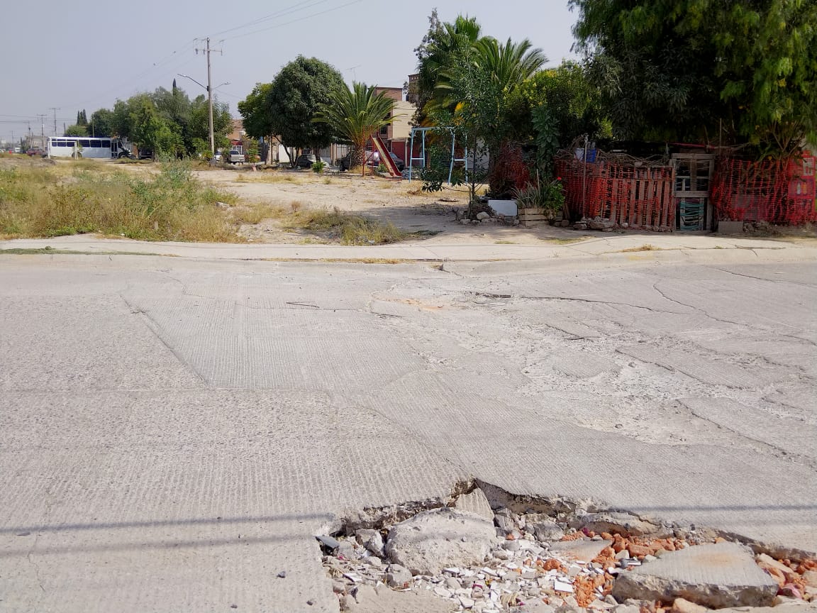Se extienden daños ocasionados por la Seduvop en área verde del Sauzalito