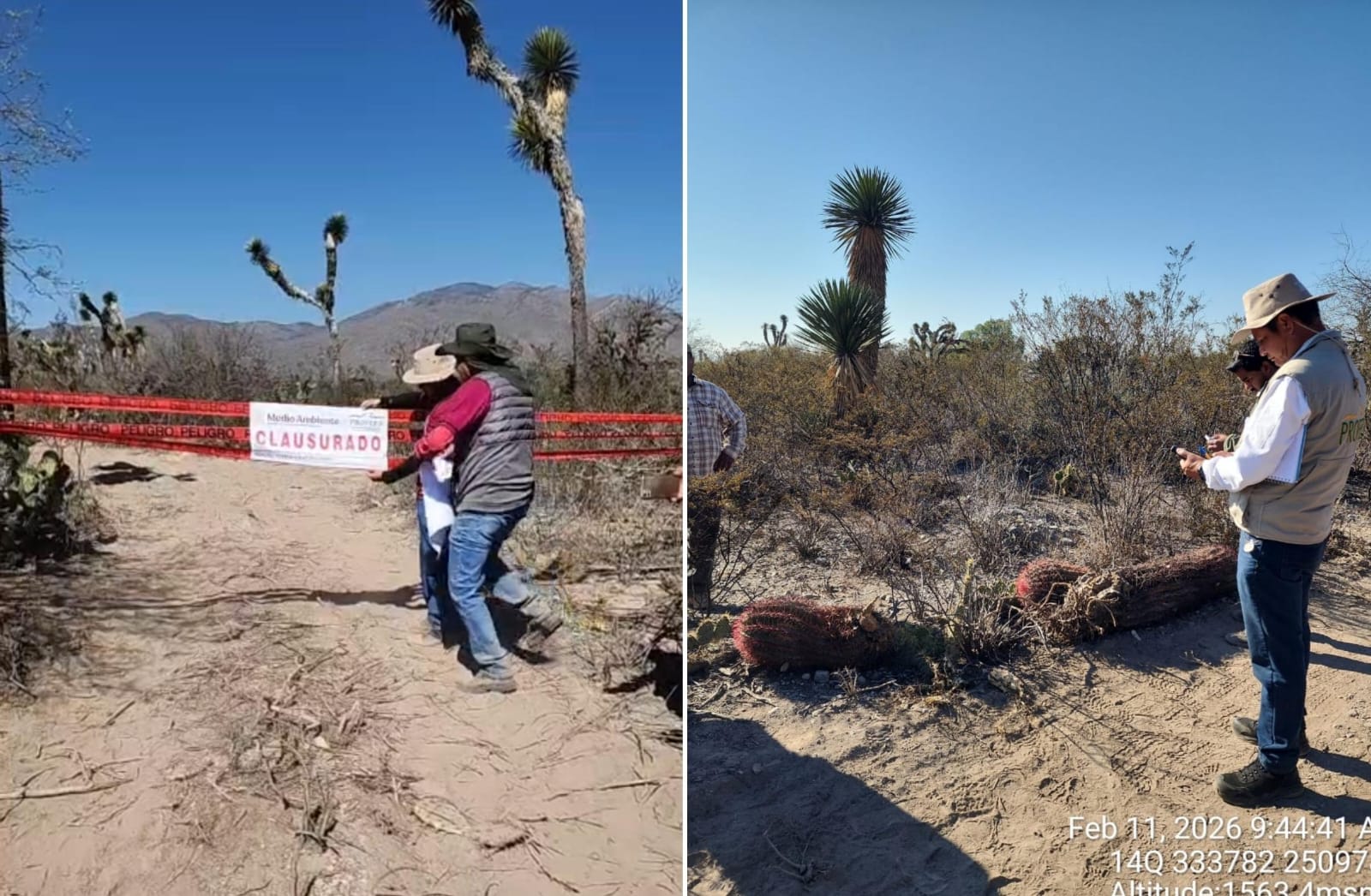 Profepa clausura obras de nueva autopista a Matehuala en el tramo de El Peyote