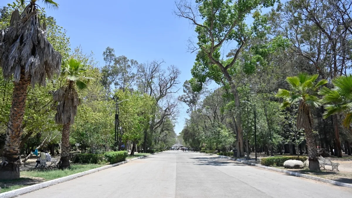 Galindo asegura que amparo no frena rehabilitación del Parque de Morales